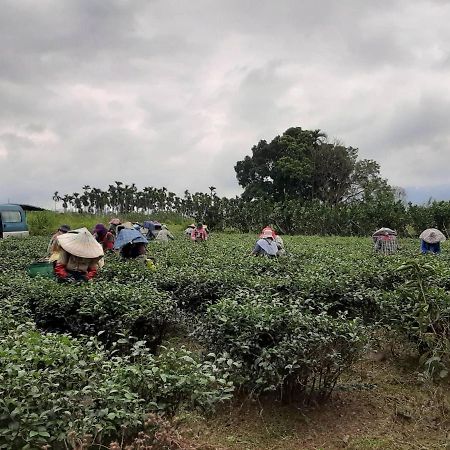 Dong Li Tea Homestay Жуйсуй Екстер'єр фото