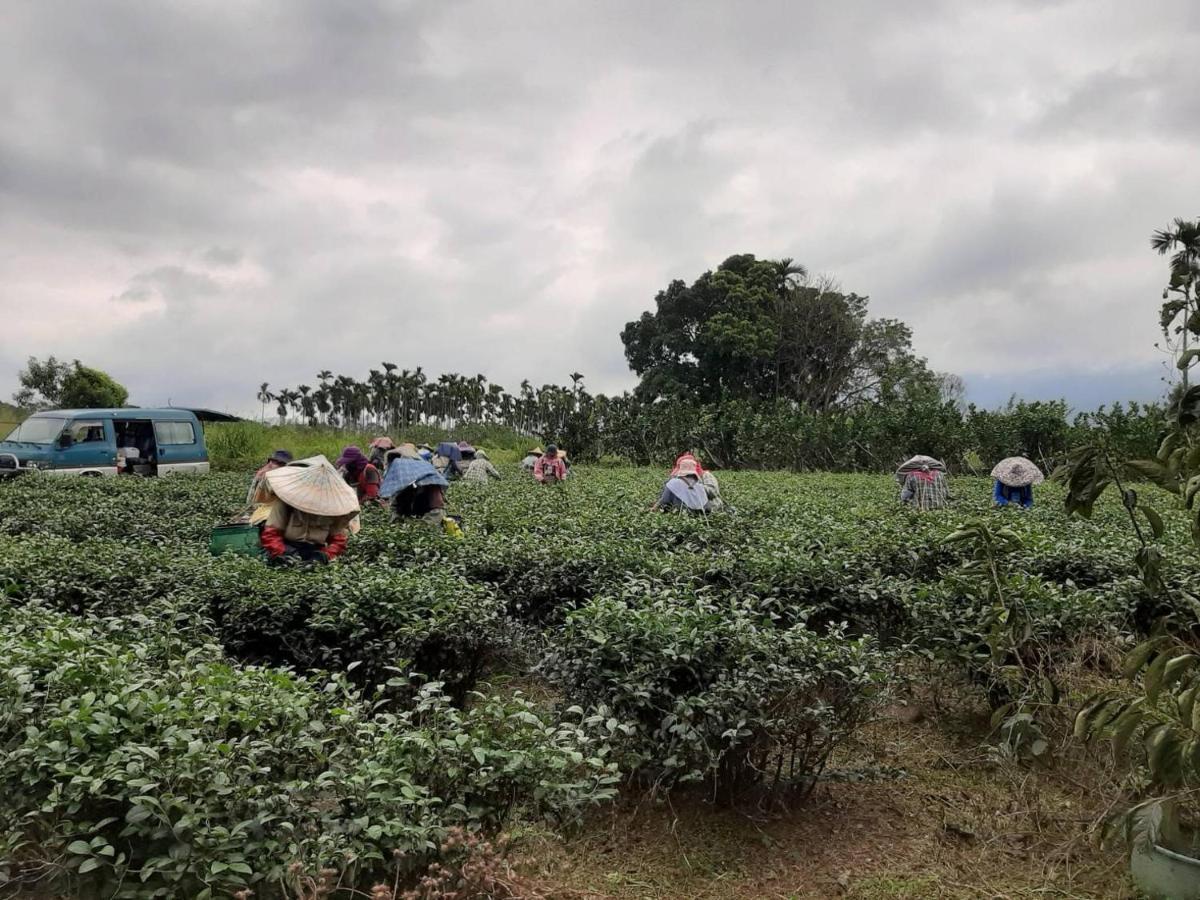 Dong Li Tea Homestay Жуйсуй Екстер'єр фото